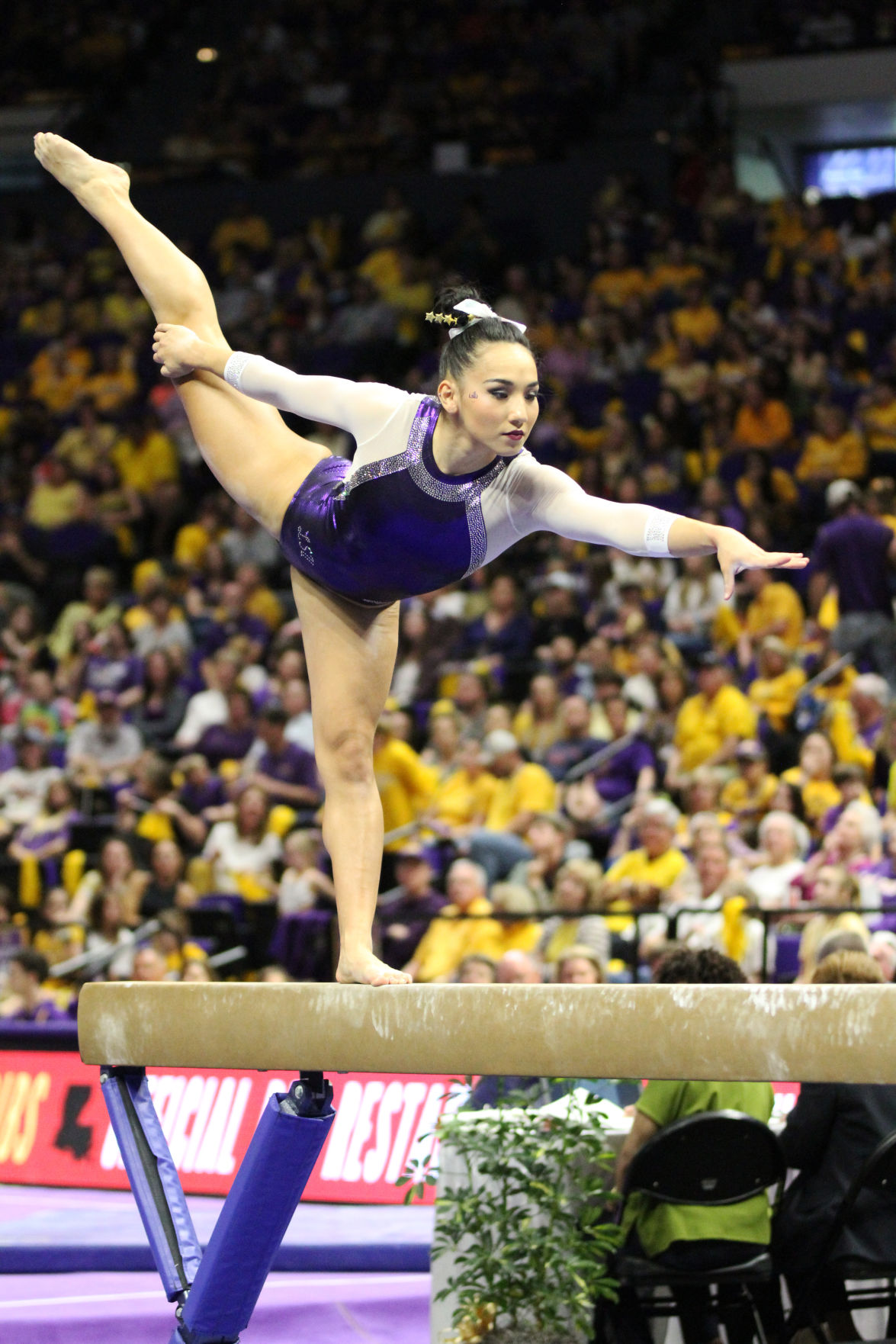 auburnlsugym.3560